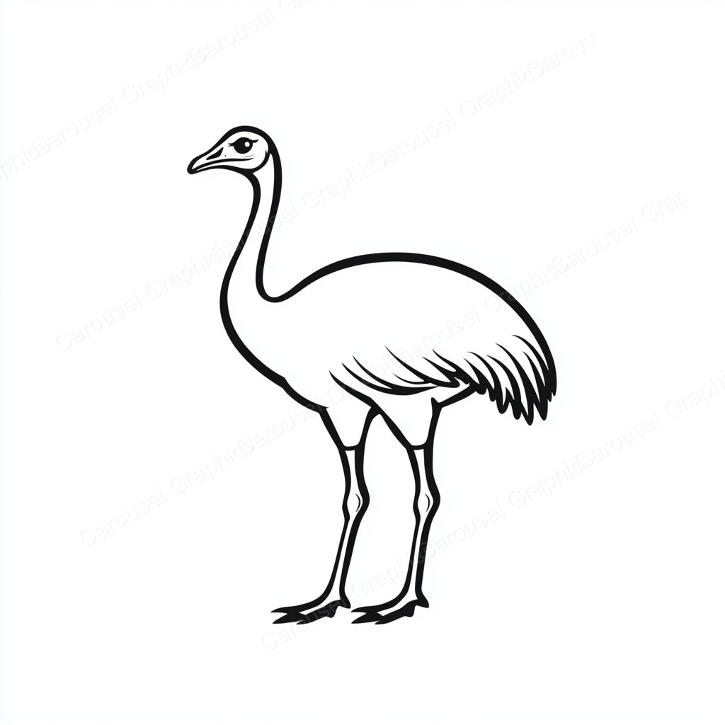 Ostrich Vector Graphic preview