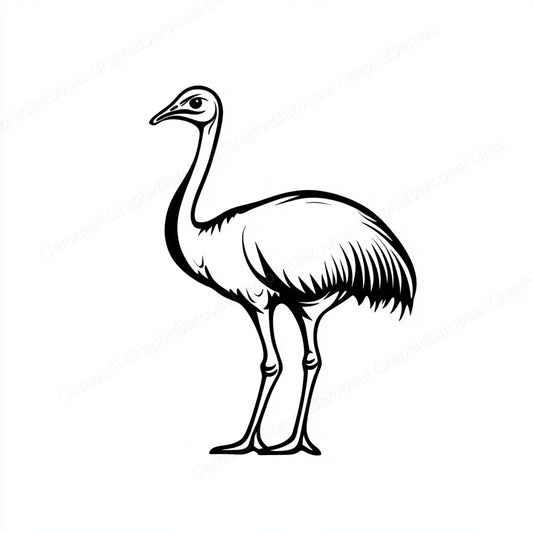 Ostrich Vector Graphic preview