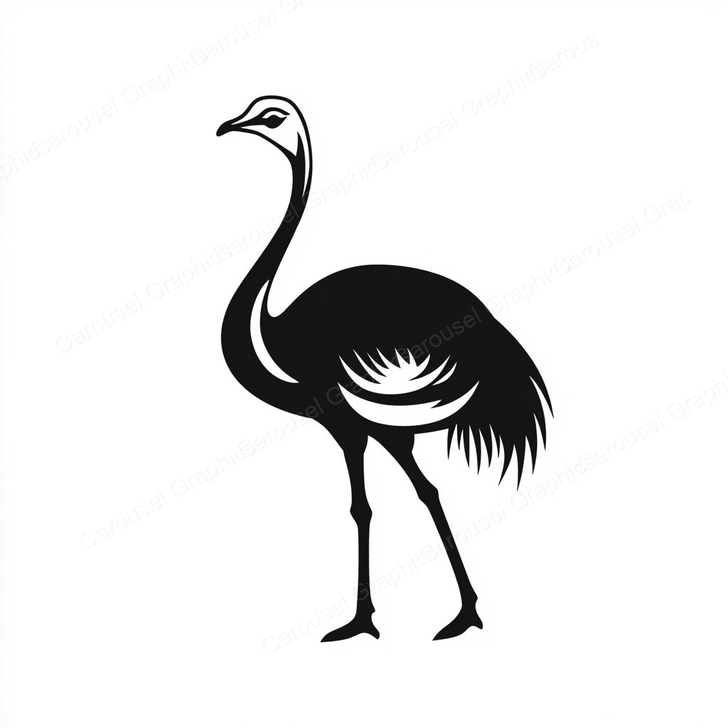 Ostrich Vector Graphic preview