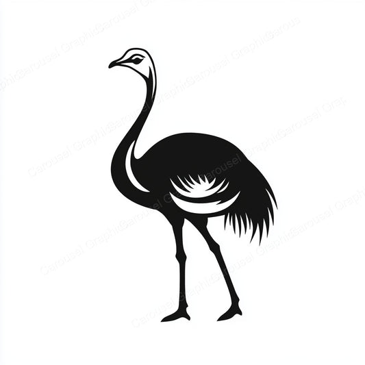 Ostrich Vector Graphic preview