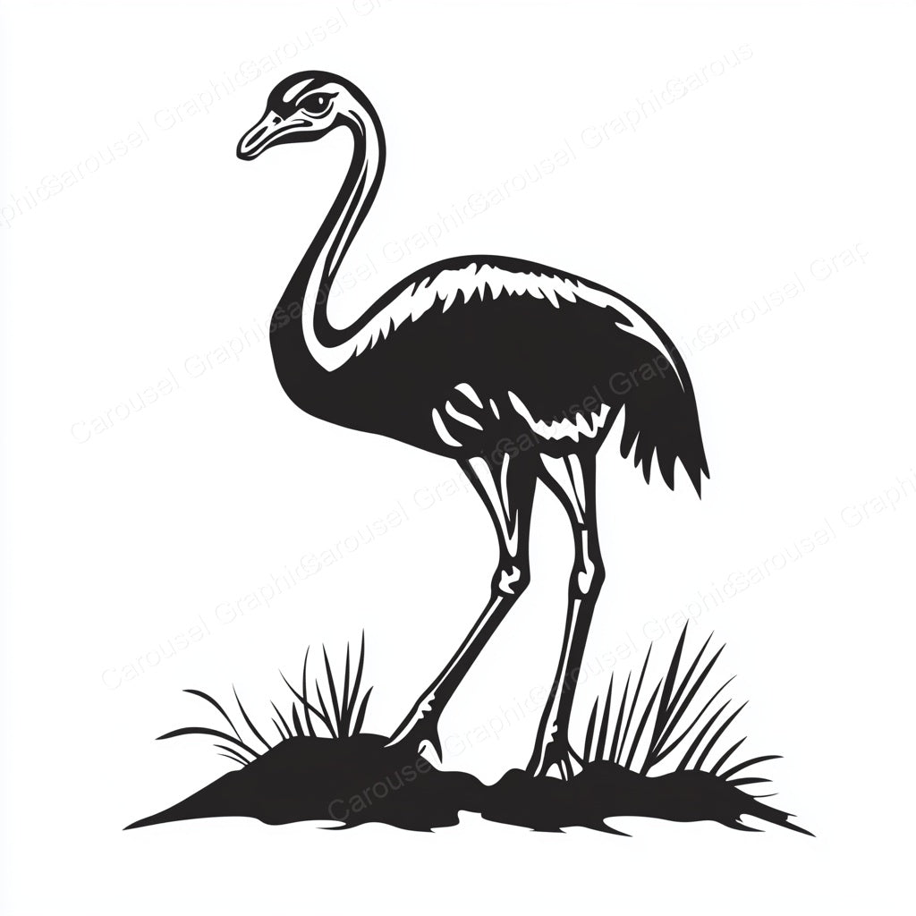 Ostrich Vector Graphic preview