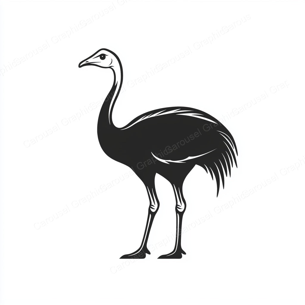 Ostrich Vector Graphic preview