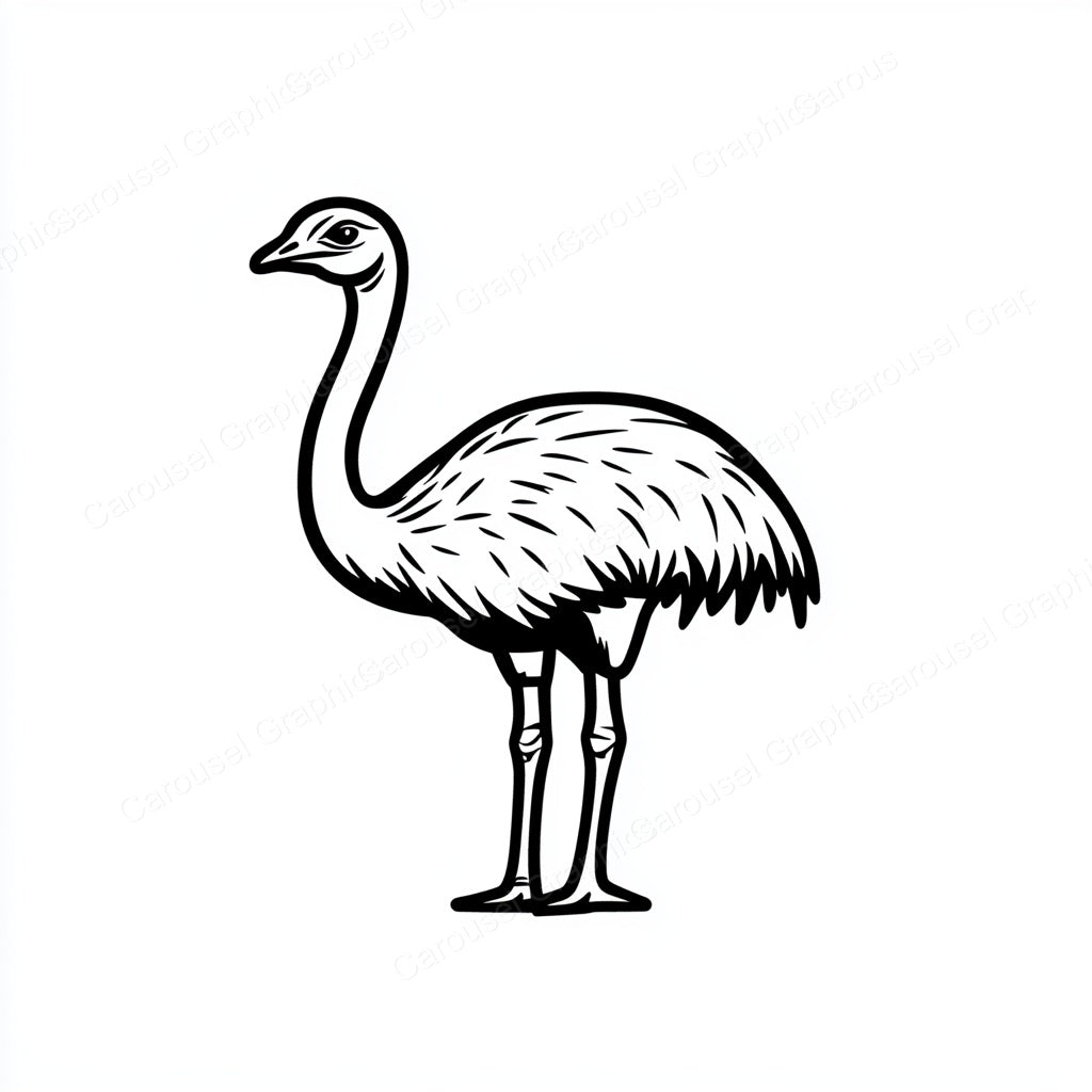 Ostrich Vector Graphic preview