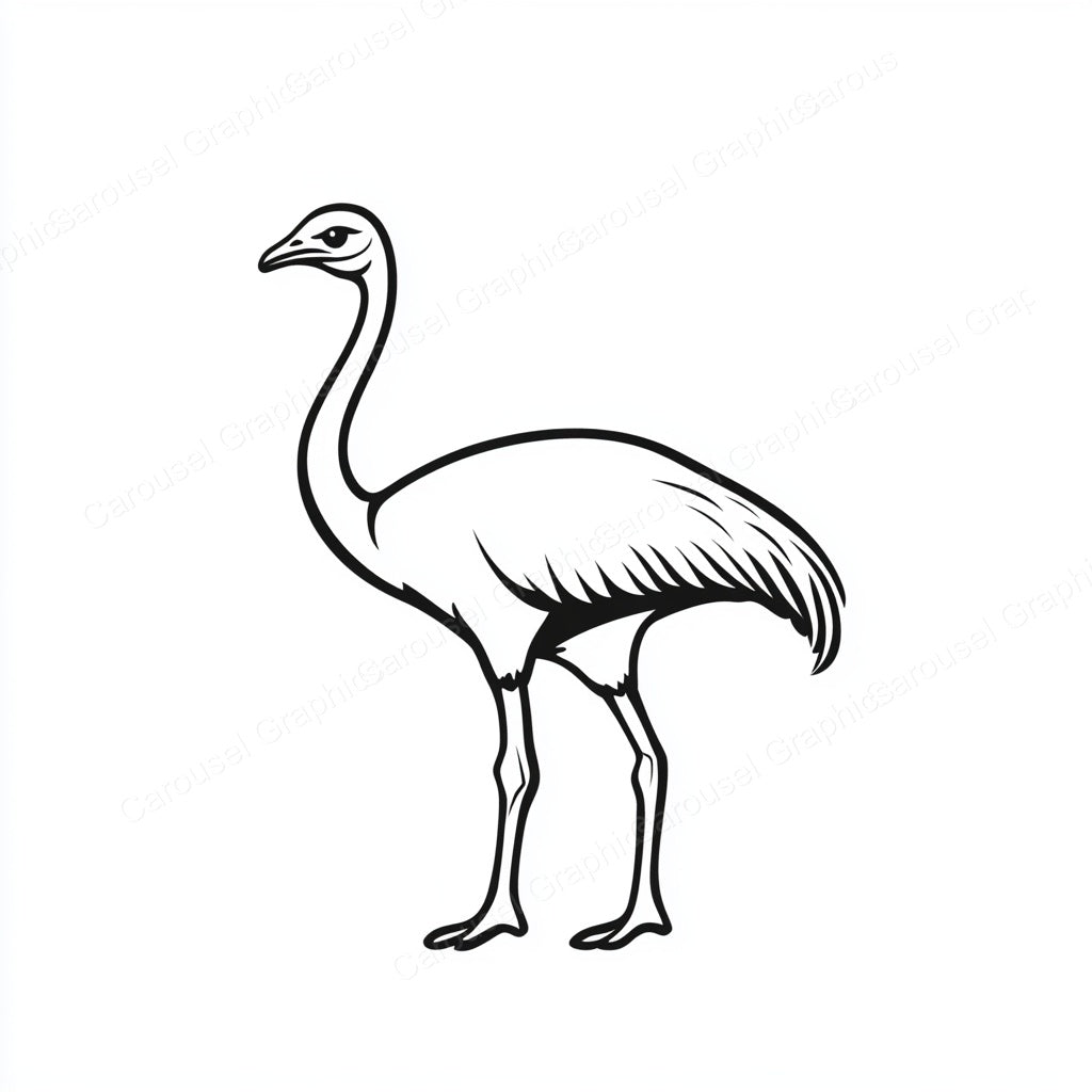 Ostrich Vector Graphic preview