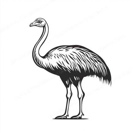 Ostrich Vector Graphic preview