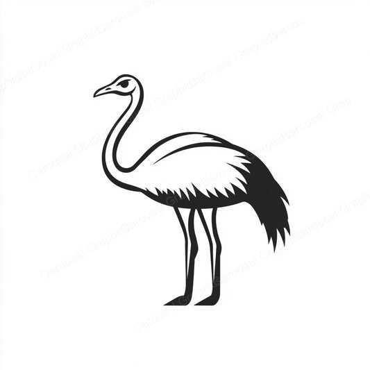 Ostrich Vector Graphic preview