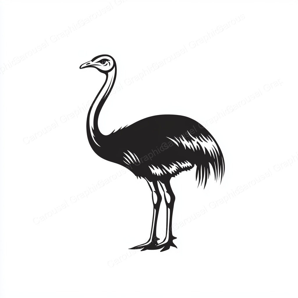 Ostrich Vector Graphic preview