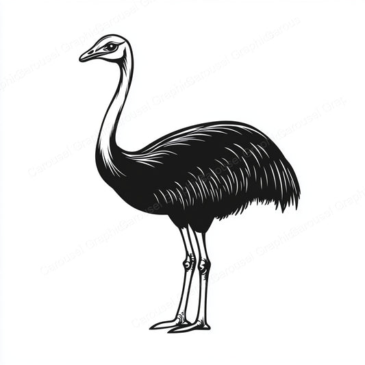 Ostrich Vector Graphic preview