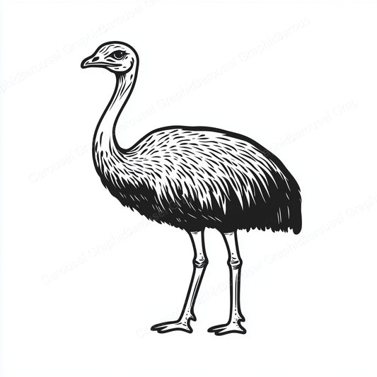 Ostrich Vector Graphic preview