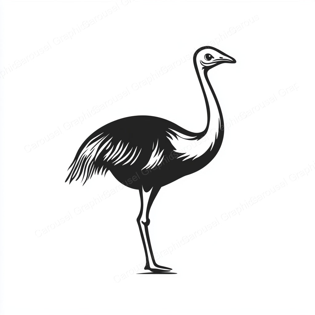 Ostrich Vector Graphic preview