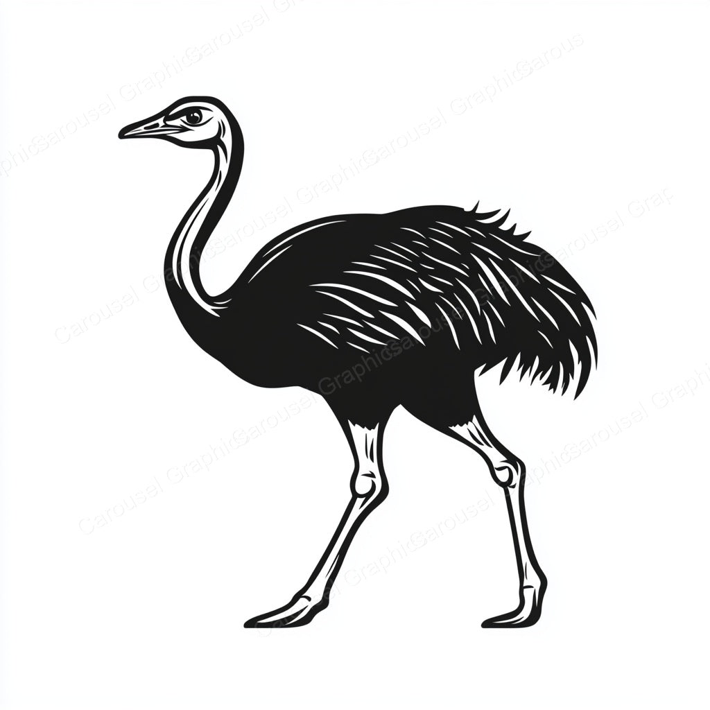 Ostrich Vector Graphic preview