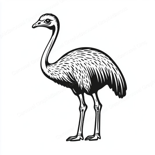 Ostrich Vector Graphic preview