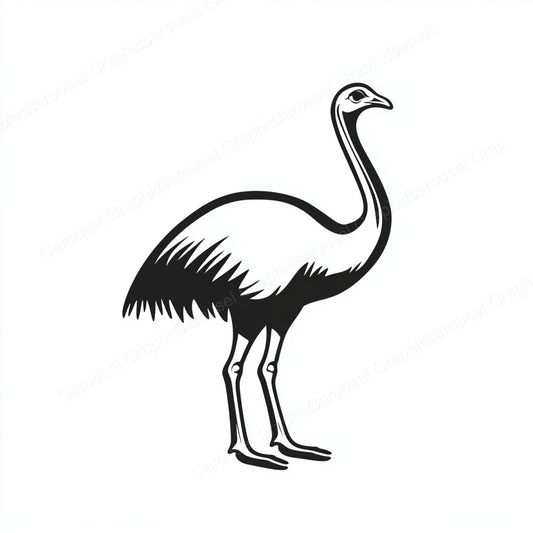 Ostrich Vector Graphic preview