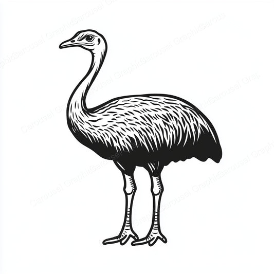 Ostrich Vector Graphic preview