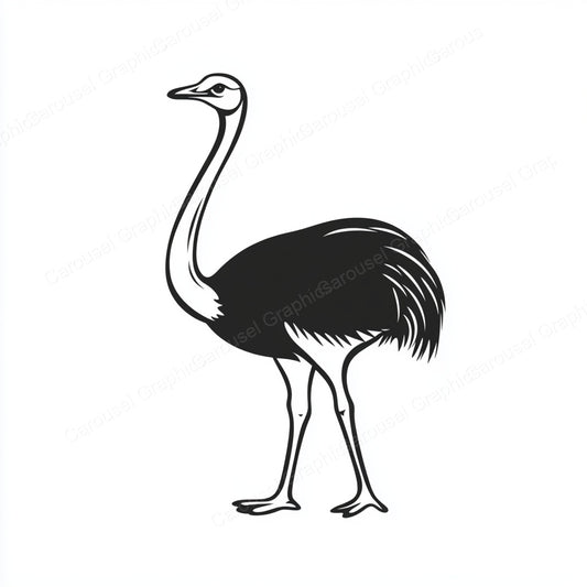 Ostrich Vector Graphic preview