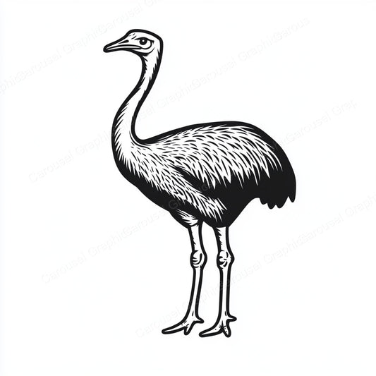 Ostrich Vector Graphic preview