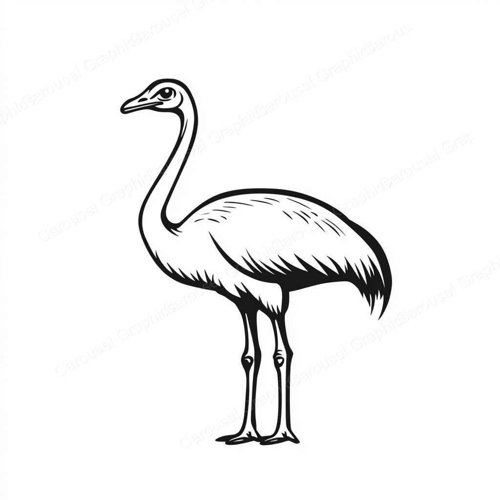 Ostrich Vector Graphic preview