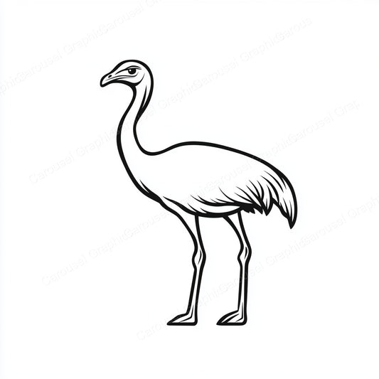 Ostrich Vector Graphic preview