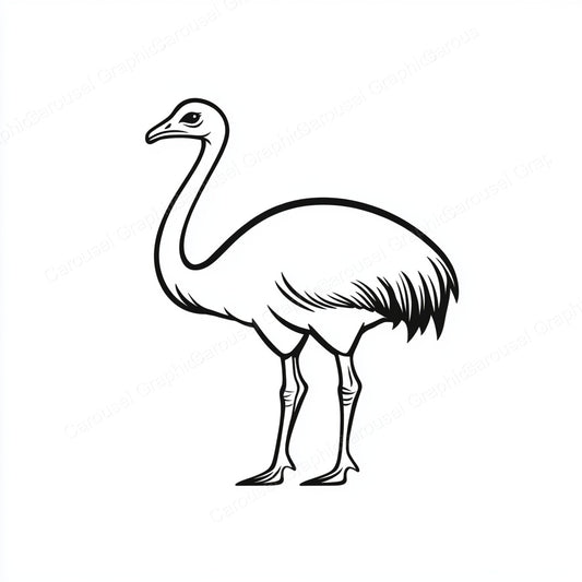 Ostrich Vector Graphic preview