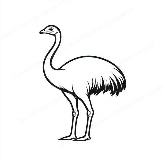 Ostrich Vector Graphic preview