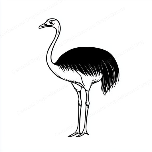 Ostrich Vector Graphic preview