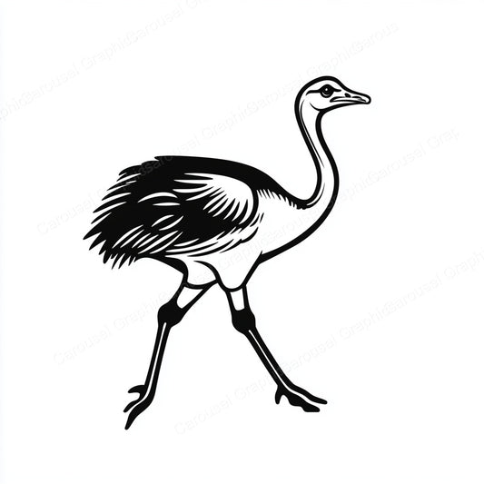 Ostrich Vector Graphic preview