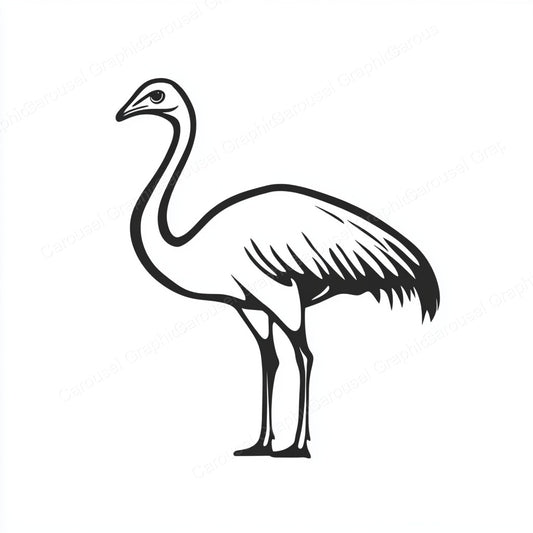 Ostrich Vector Graphic preview