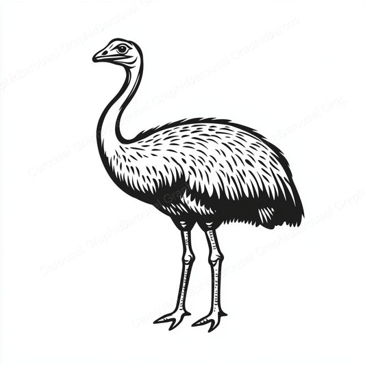 Ostrich Vector Graphic preview