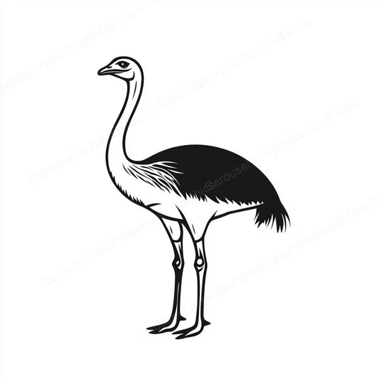 Ostrich Vector Graphic preview