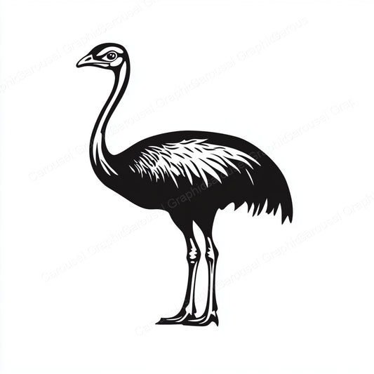 Ostrich Vector Graphic preview