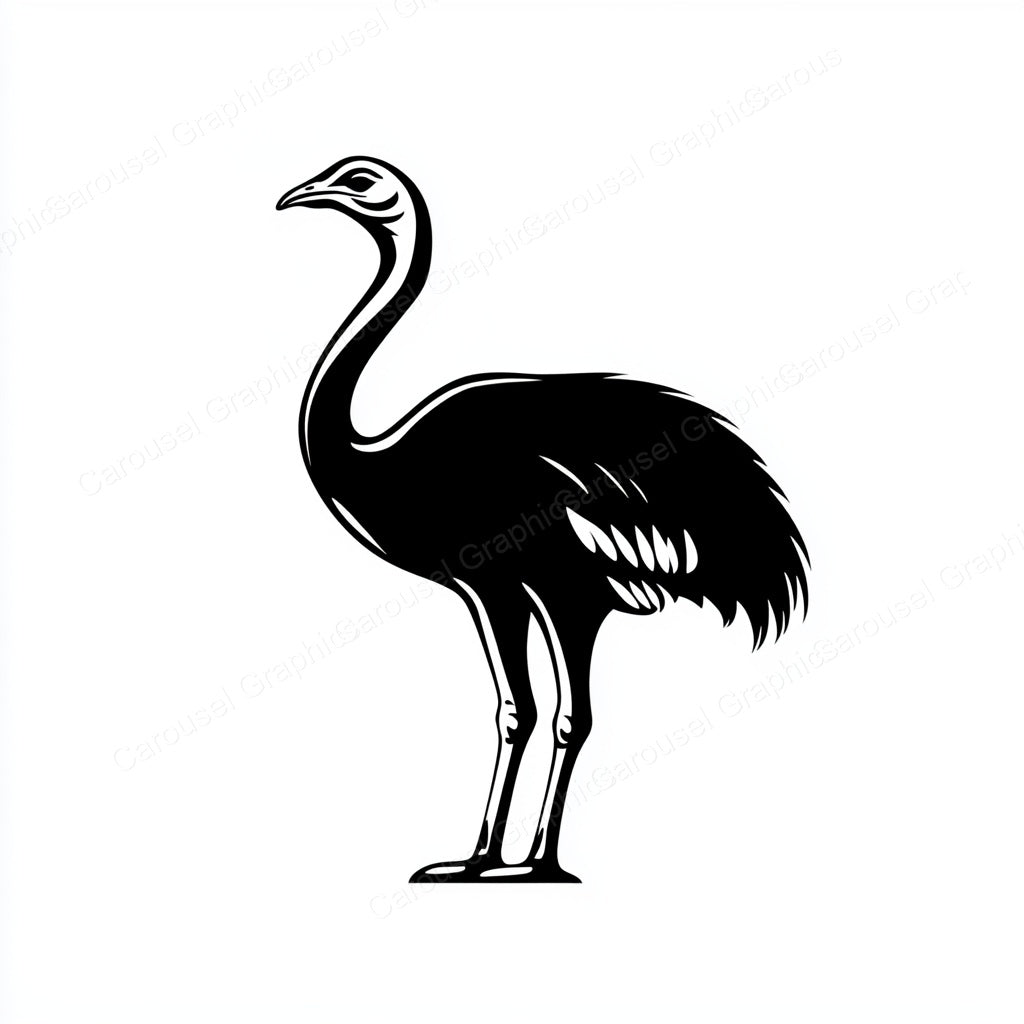Ostrich Vector Graphic preview