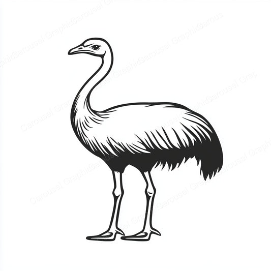 Ostrich Vector Graphic preview
