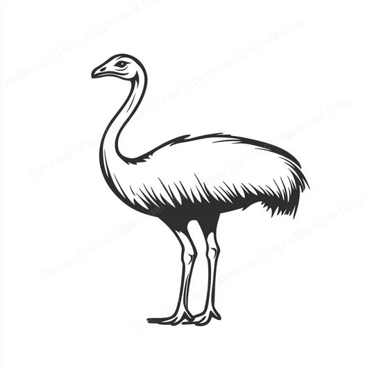 Ostrich Vector Graphic preview