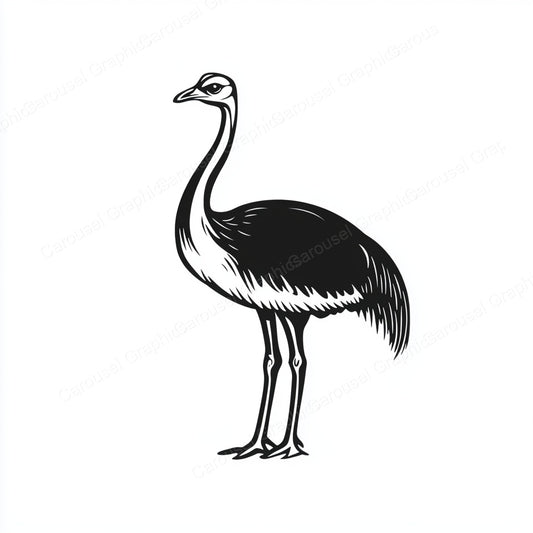 Ostrich Vector Graphic preview