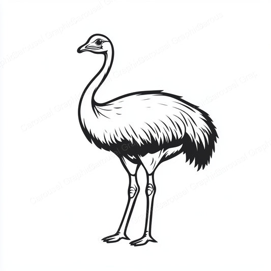 Ostrich Vector Graphic preview