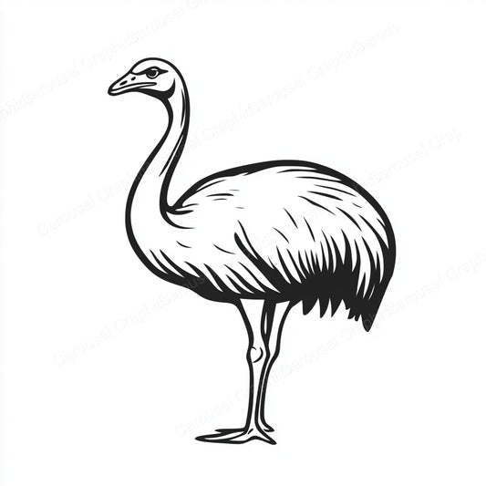 Ostrich Vector Graphic preview