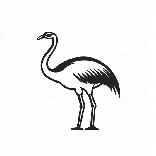 Ostrich Vector Graphic preview