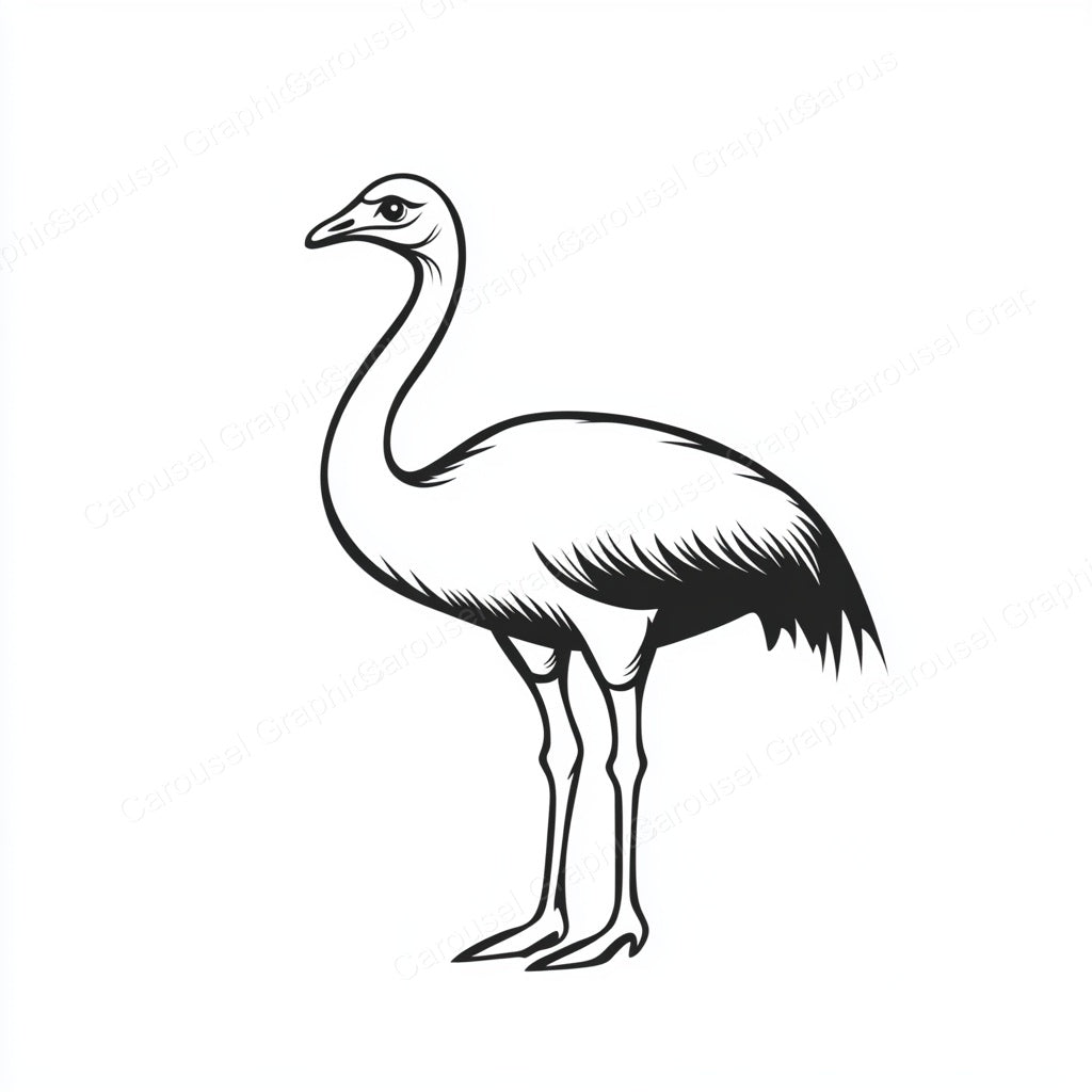 Ostrich Vector Graphic preview