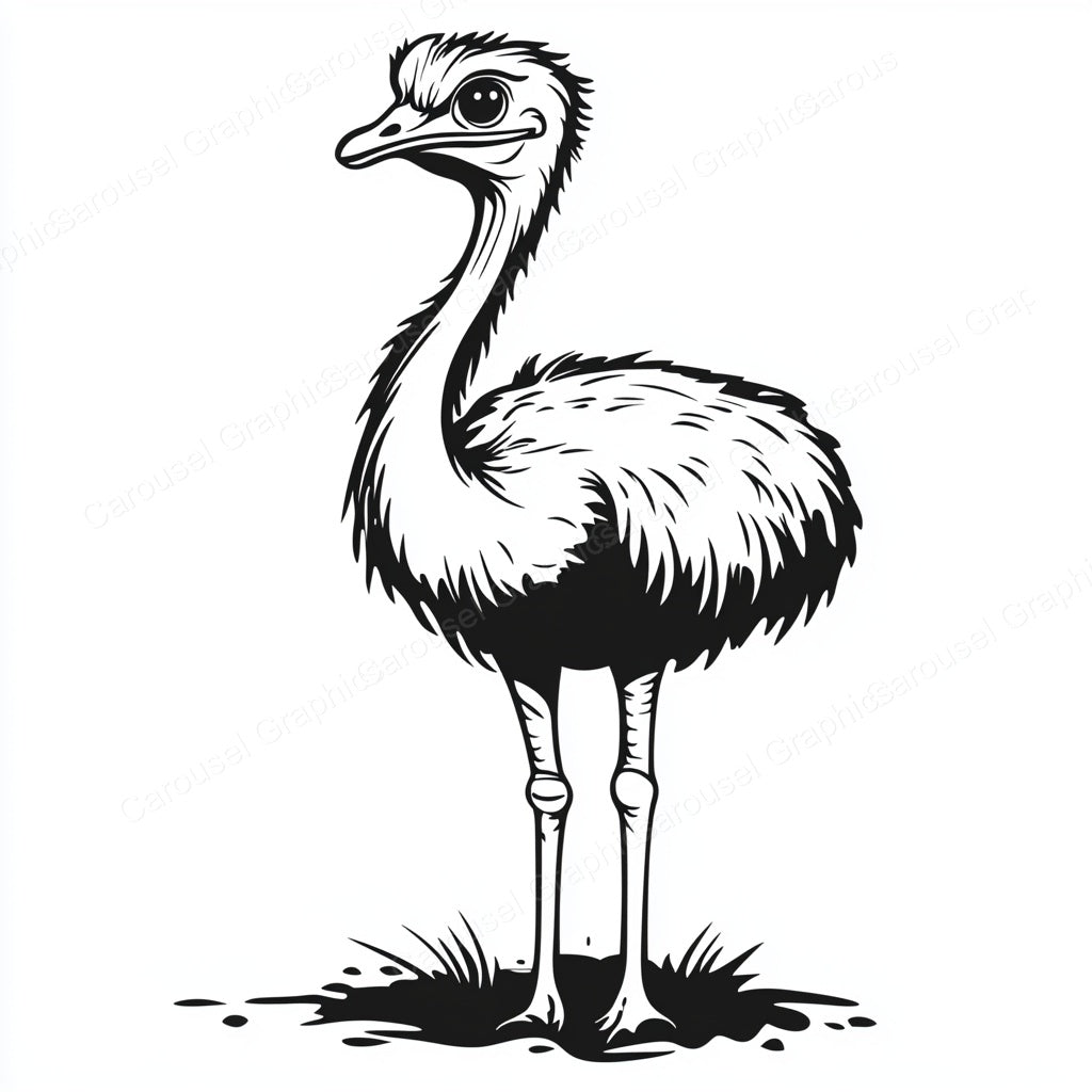 Ostrich Vector Graphic preview