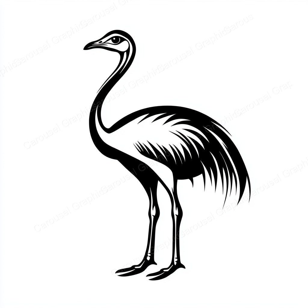 Ostrich Vector Graphic preview