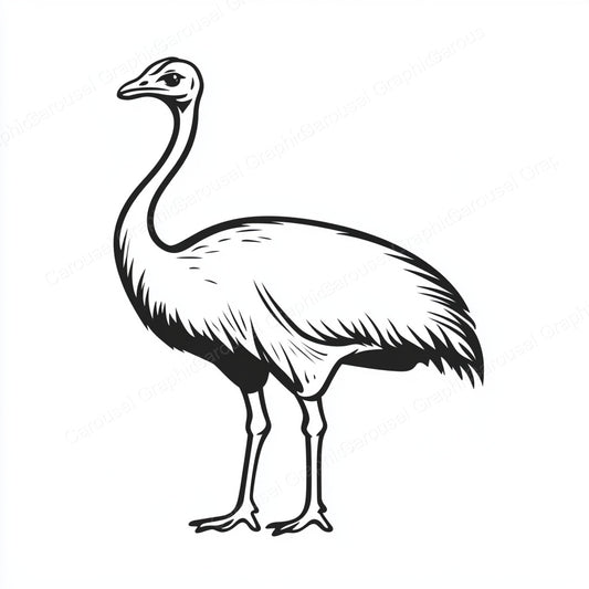 Ostrich Vector Graphic preview