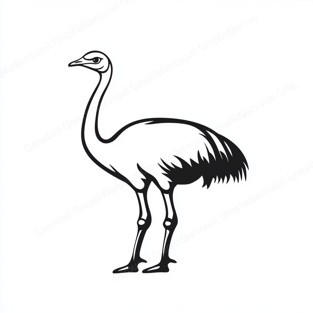 Ostrich Vector Graphic preview