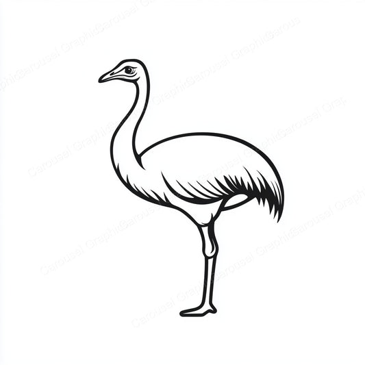 Ostrich Vector Graphic preview