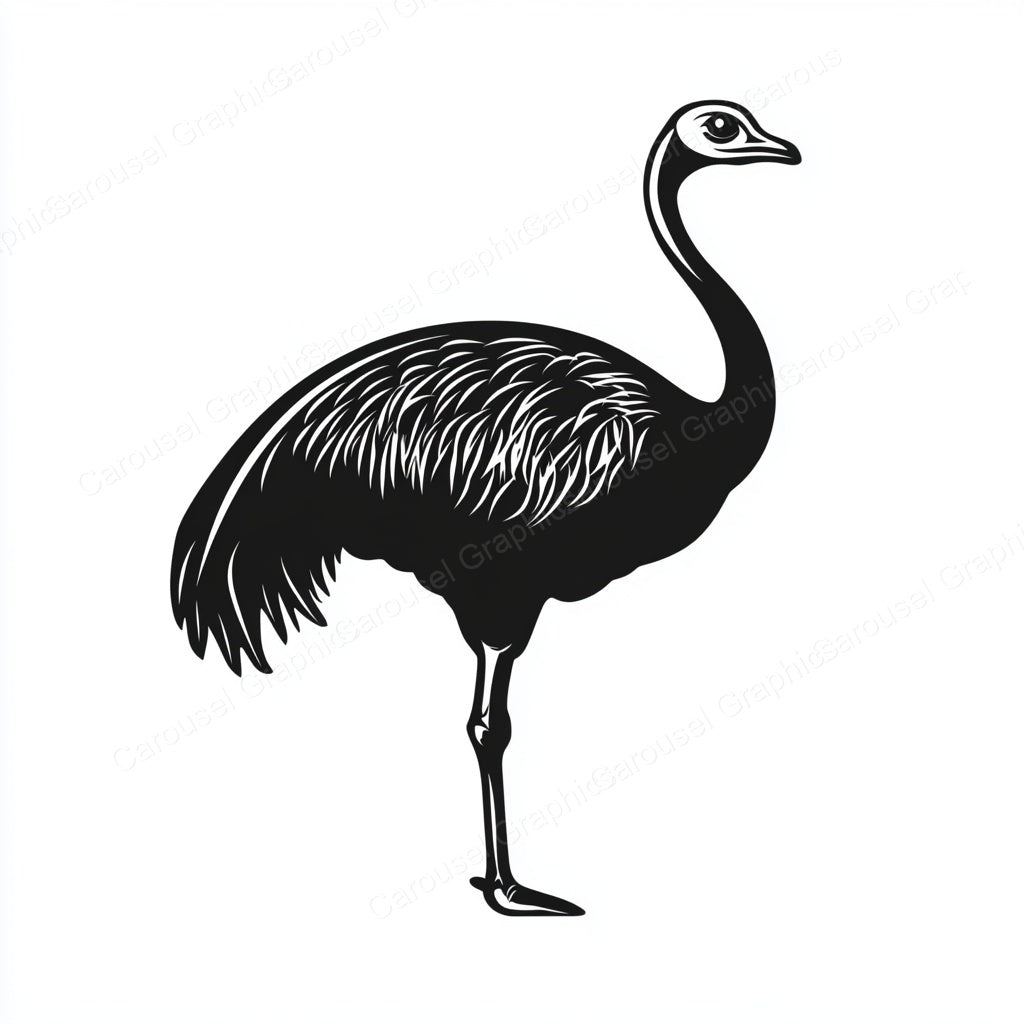 Ostrich Vector Graphic preview