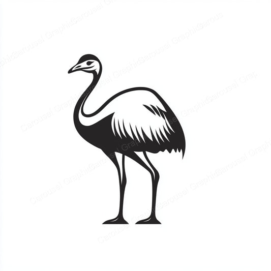 Ostrich Vector Graphic preview