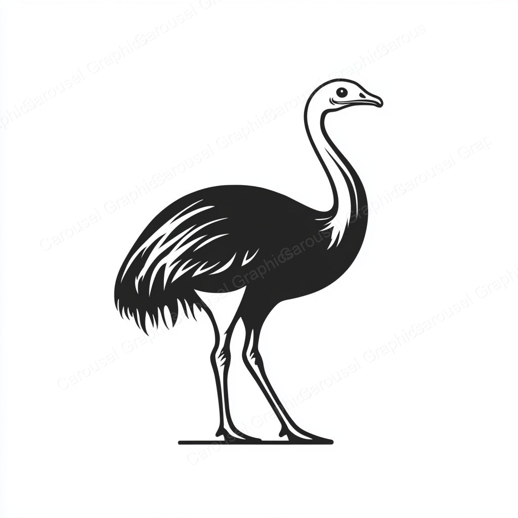 Ostrich Vector Graphic preview