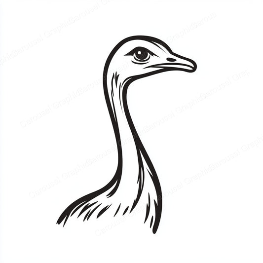 Ostrich Vector Graphic preview
