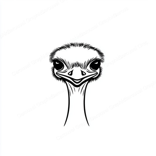 Ostrich Vector Graphic preview