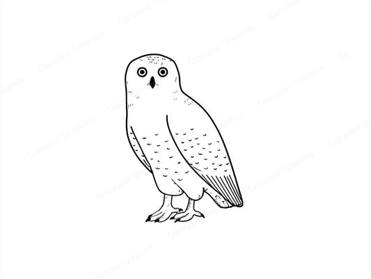 Owl Vector Graphic preview