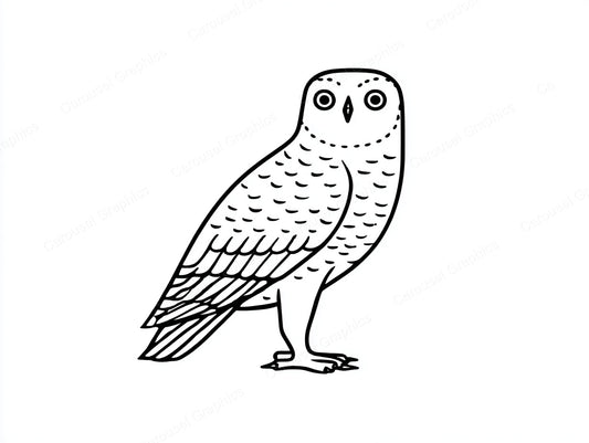 Owl Vector Graphic preview